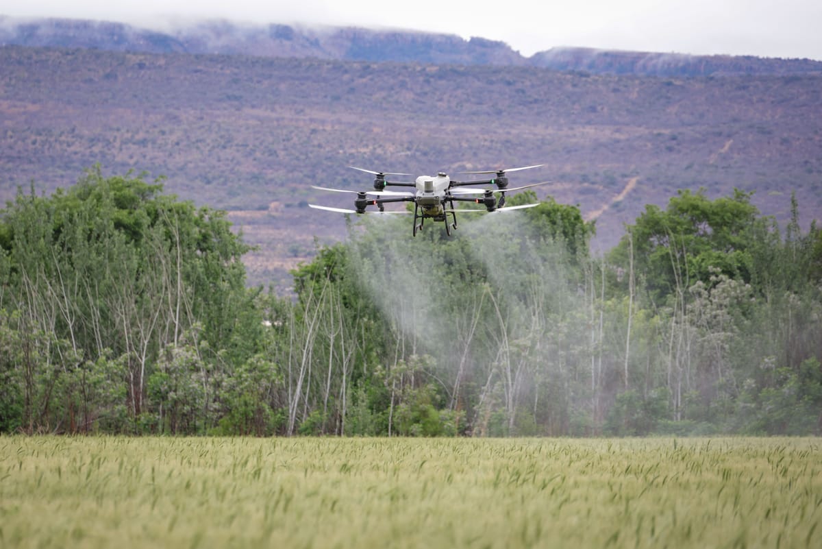 Agricultural drone spraying crops over a green field with hills in the background.