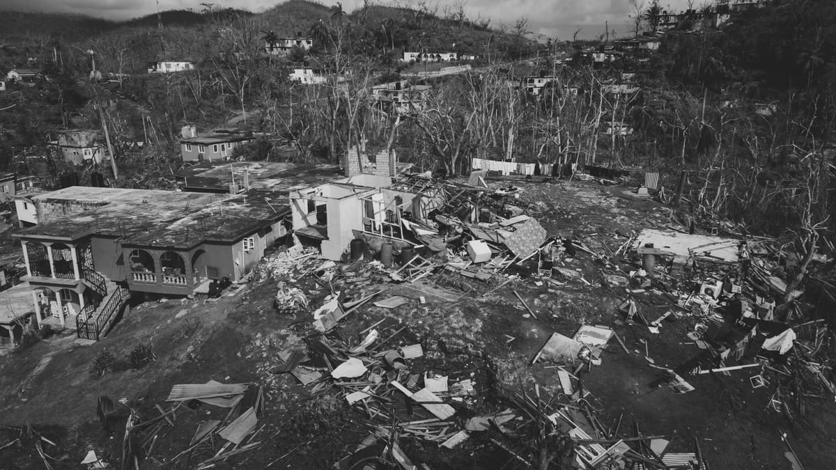 Aerial view of storm damaged homes and stripped trees in St. James Parish, Jamaica after a hurricane.