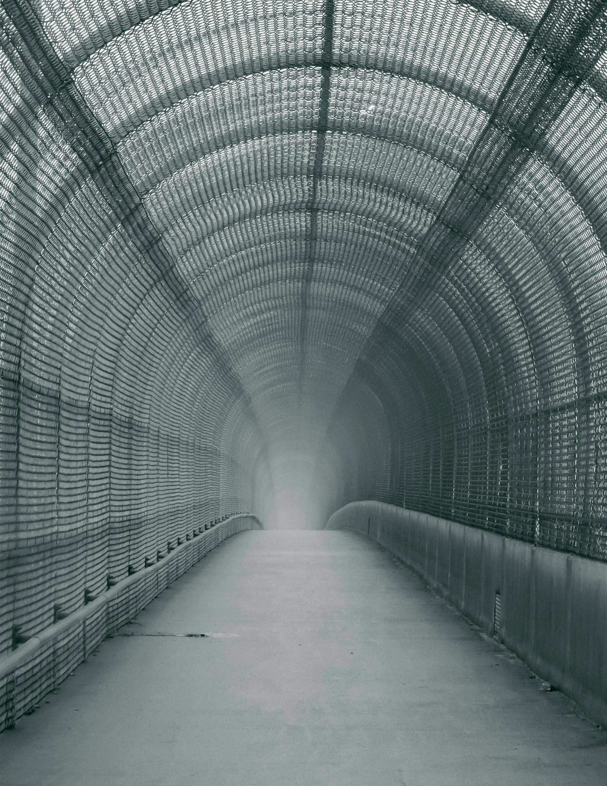 A walkway enclosed by curved wire mesh fencing.