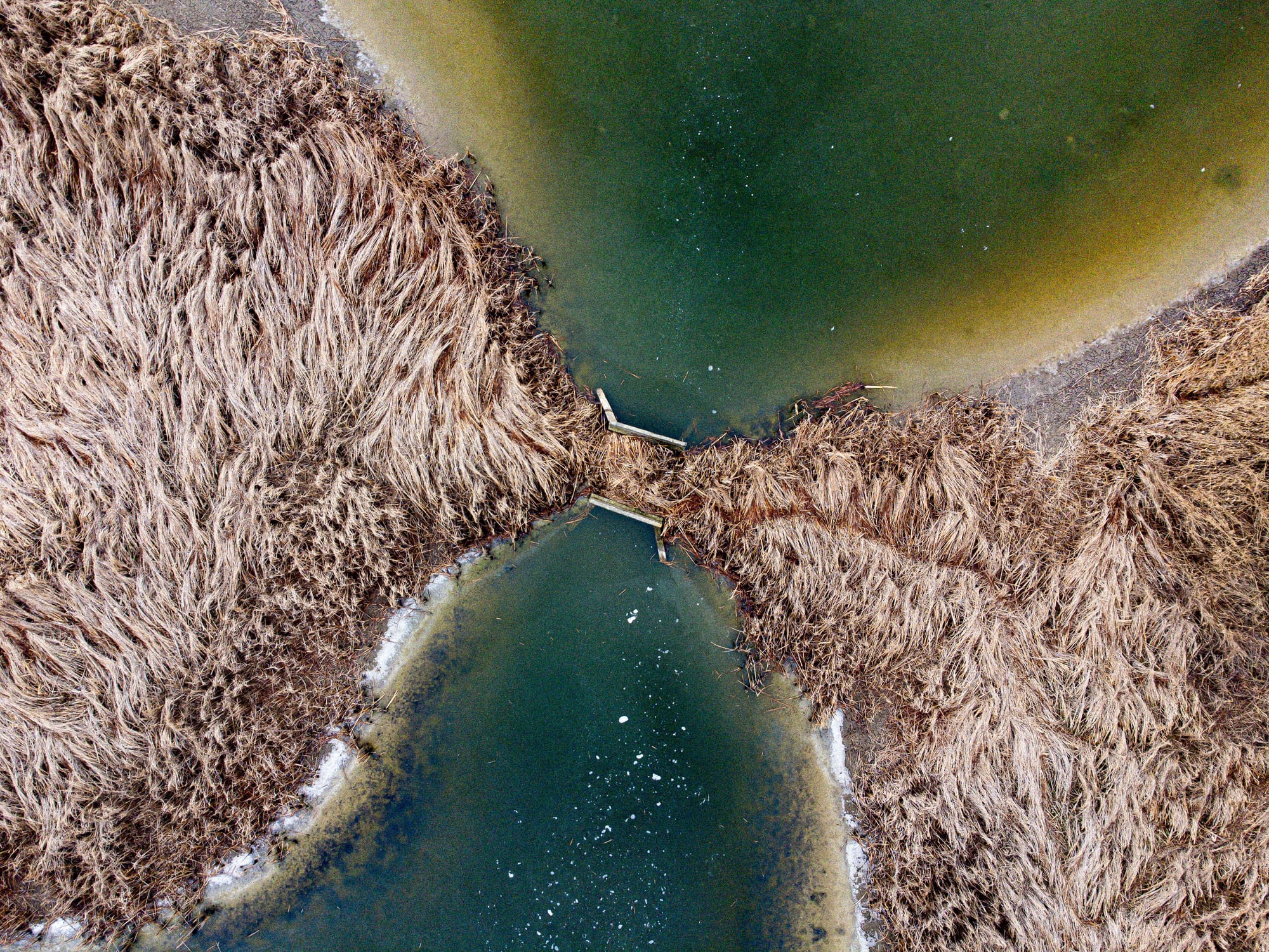 Aerial drone view of green wetland channels and vegetation.