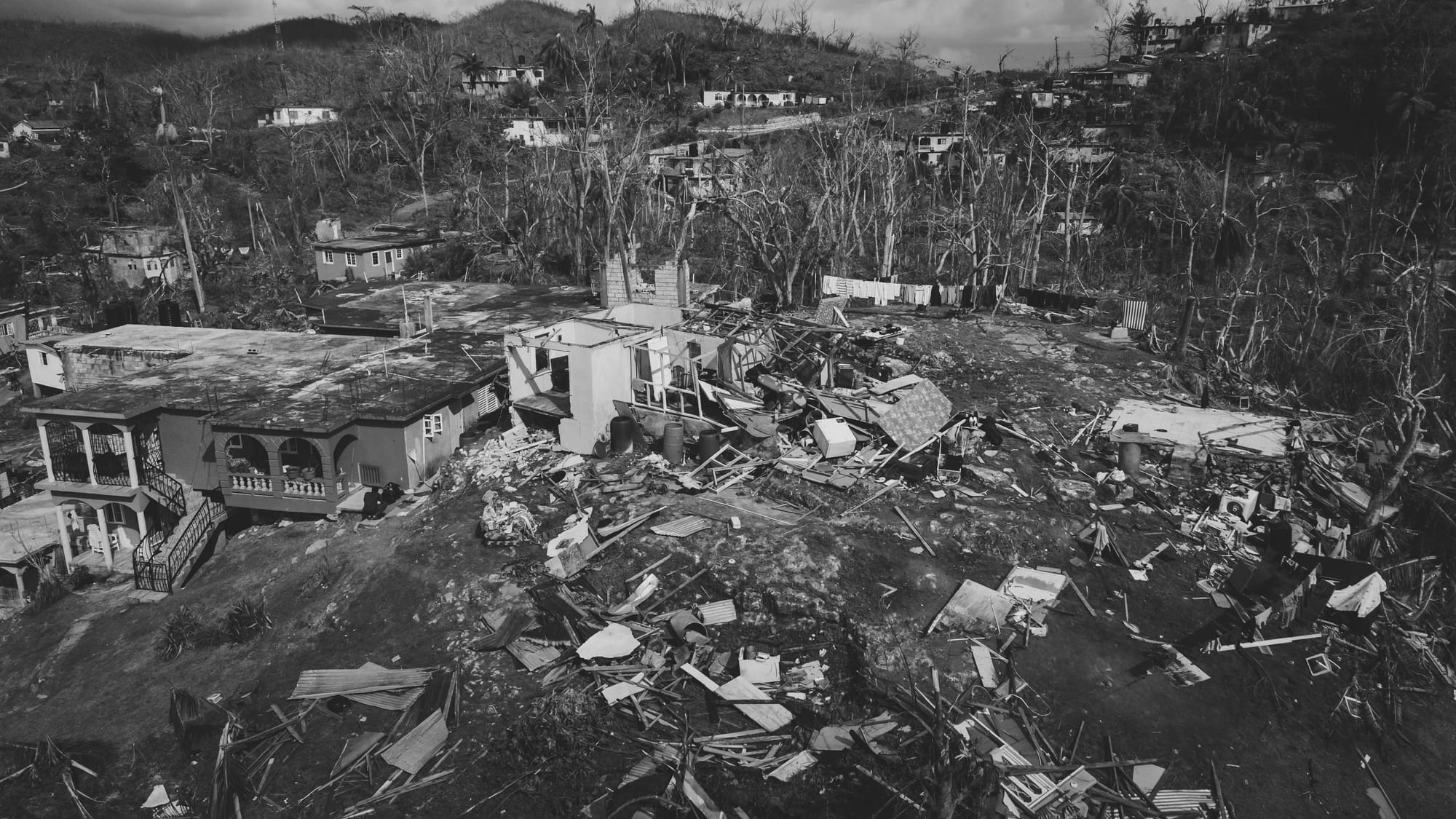 Aerial view of storm damaged homes and stripped trees in St. James Parish, Jamaica after a hurricane.